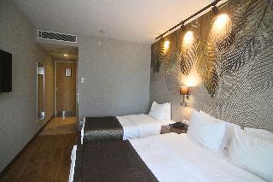 photo-3