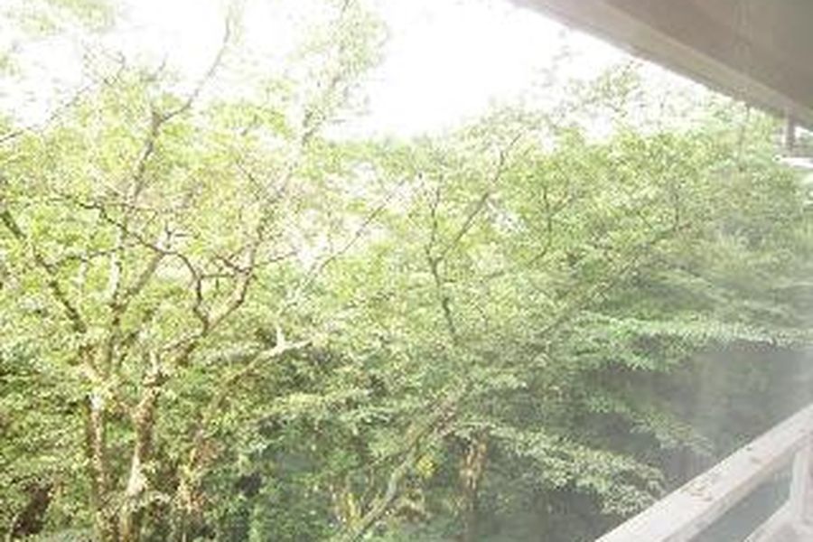 foto-3