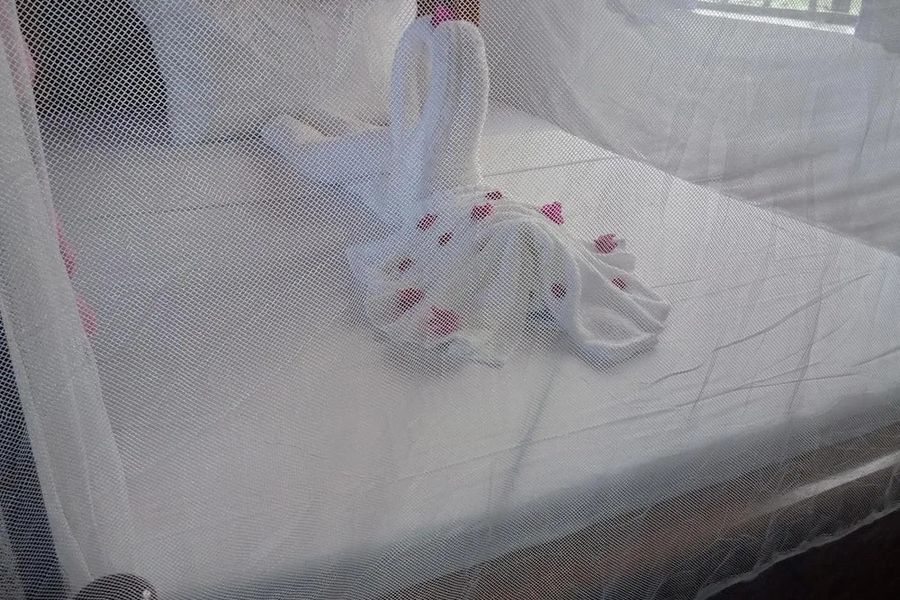 foto-2