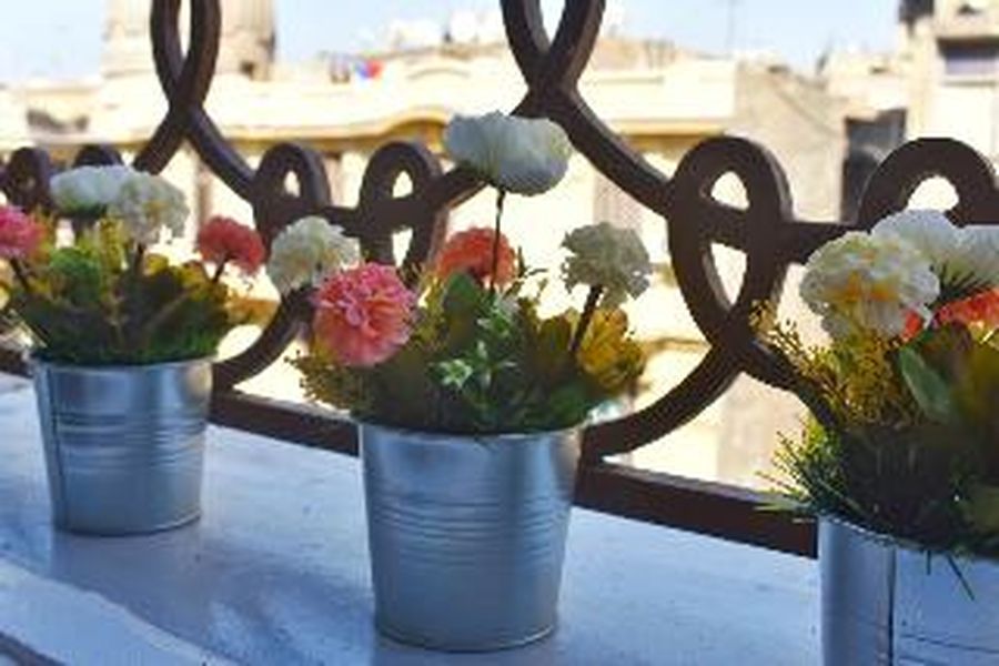 photo-1