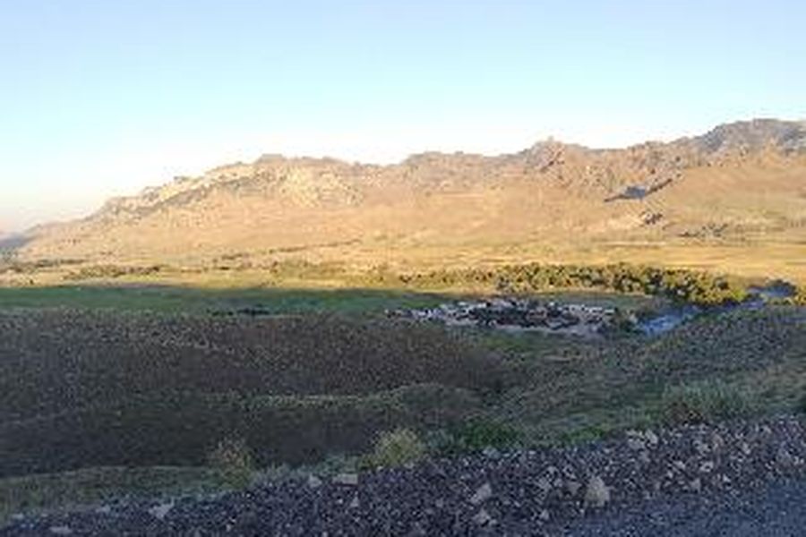 photo-0