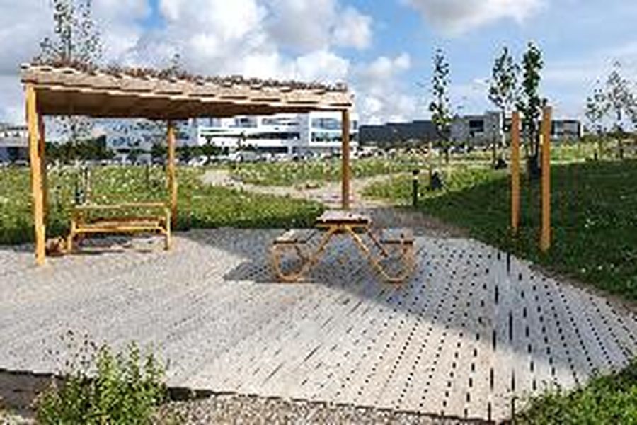 foto-1