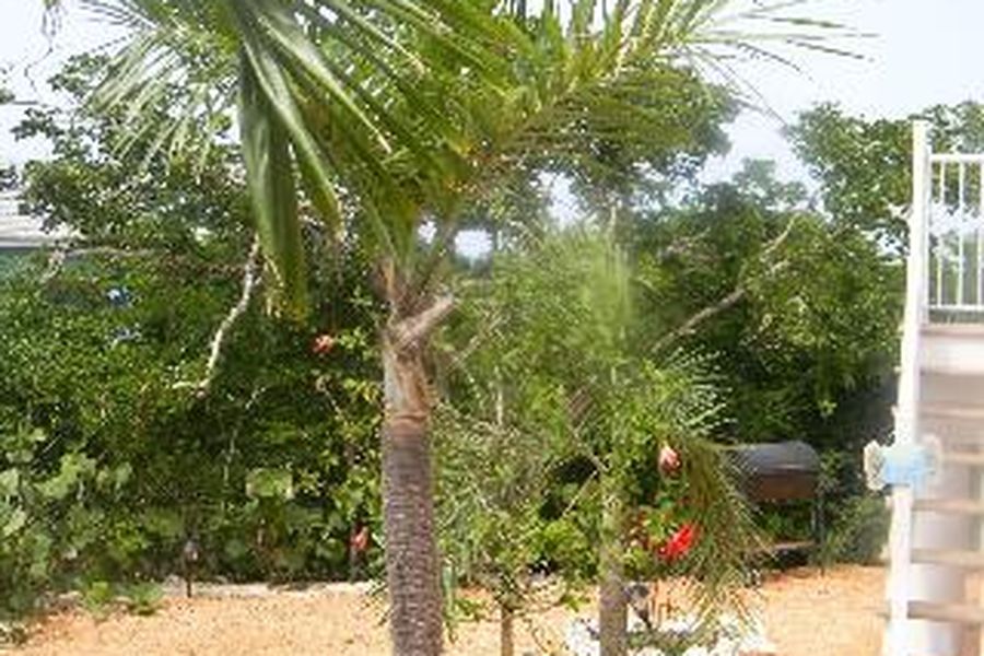 photo-2