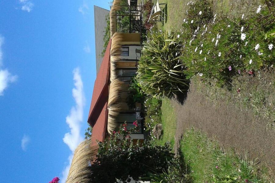 photo-0