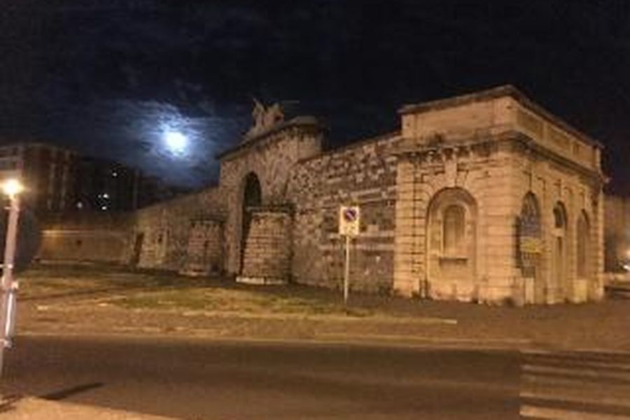 foto-1