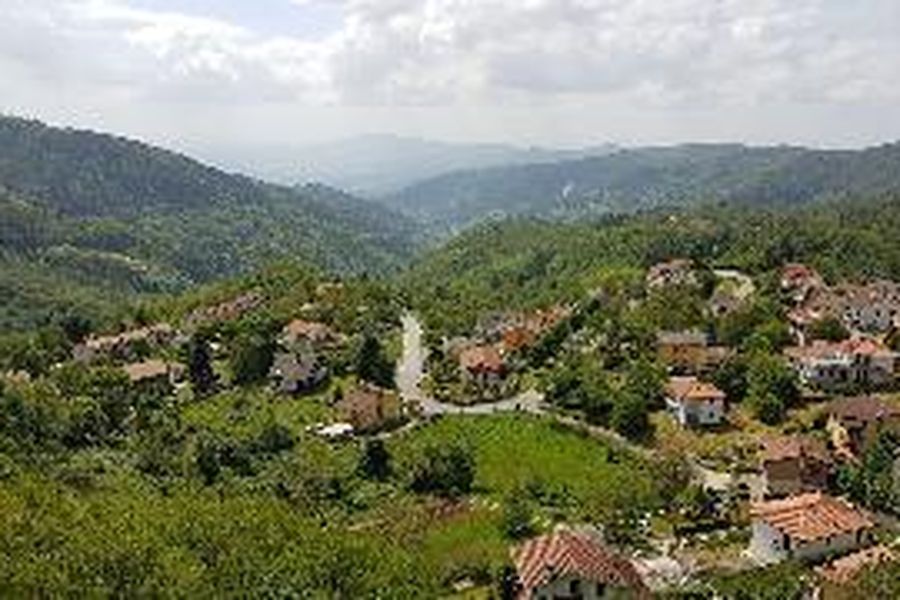 foto-2