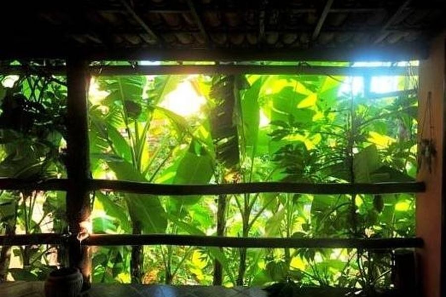 foto-3