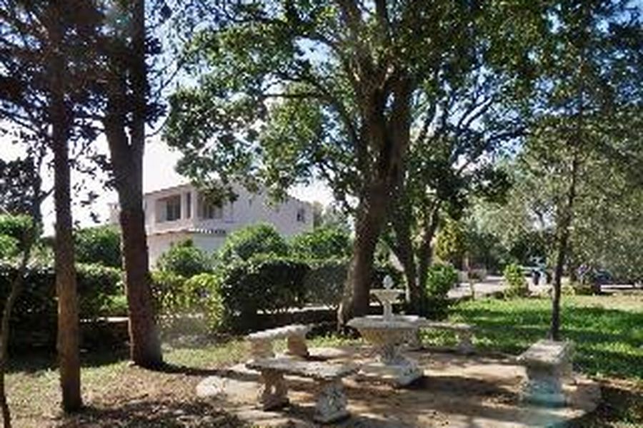 foto-3