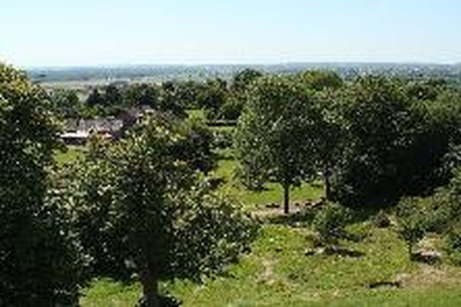 foto-2
