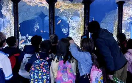 Acuario de Nápoles: entrada