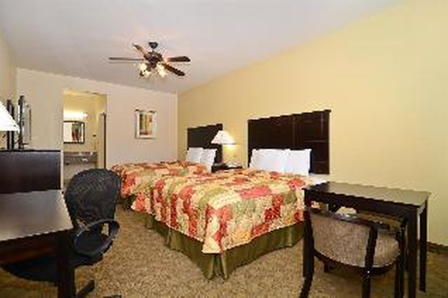 photo-1