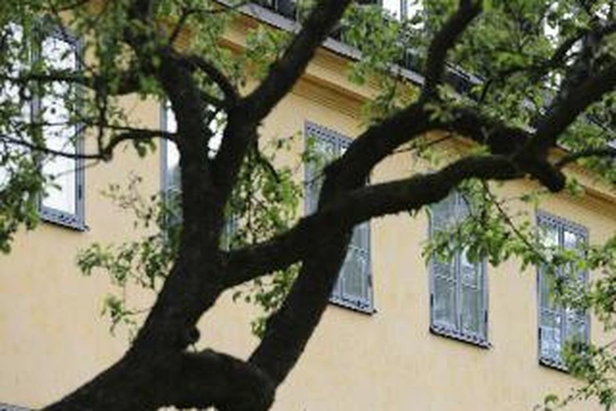 foto-3