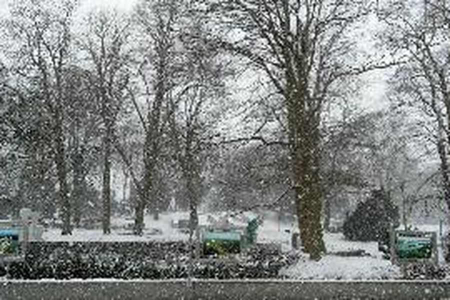 photo-1