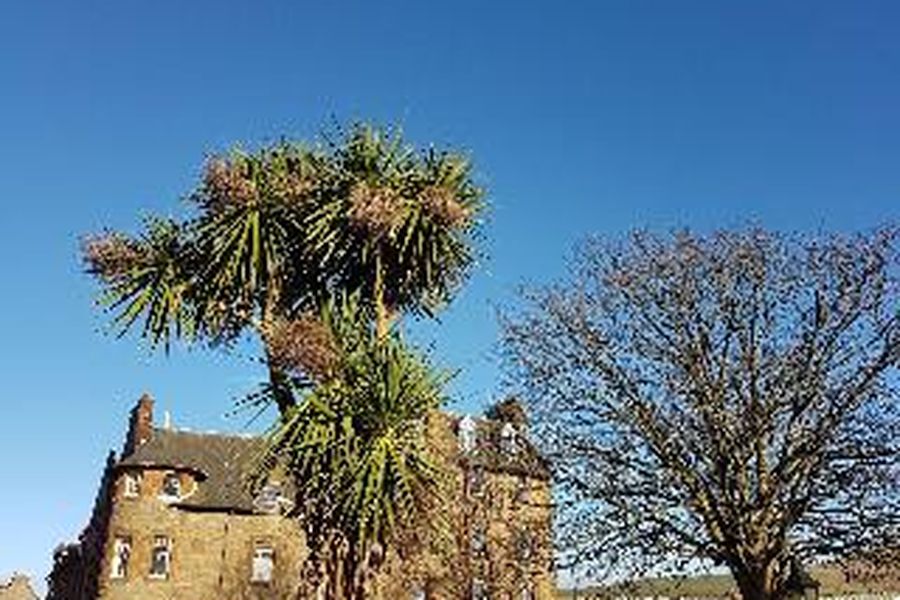 photo-1
