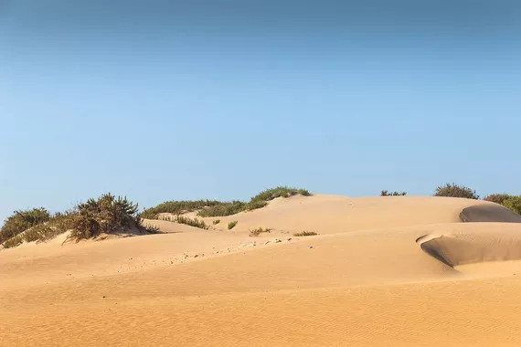 Parque Nacional Souss-Massa - Marrocos