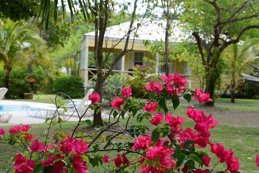 photo-3