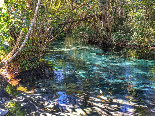 Rio em Nobres