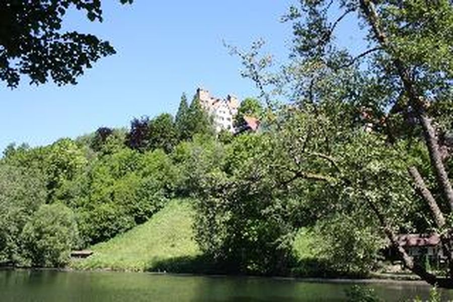 foto-3