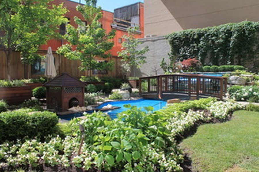 foto-1