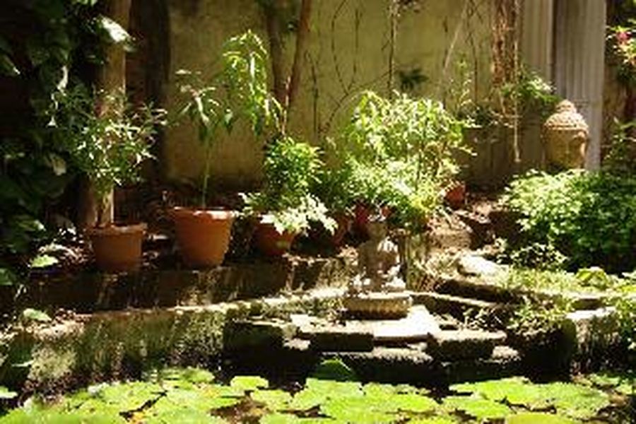 photo-2