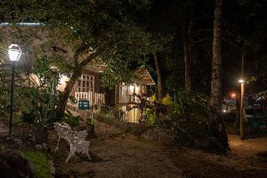 photo-3