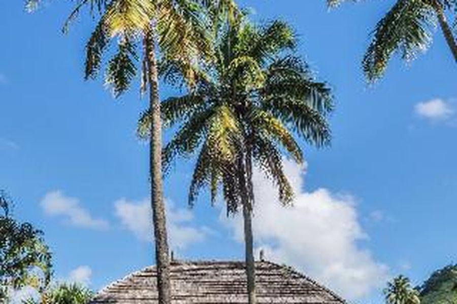 foto-0