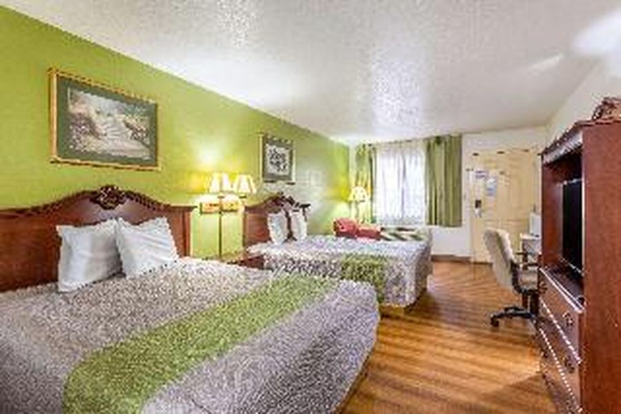 foto-2