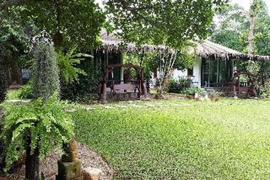 foto-0