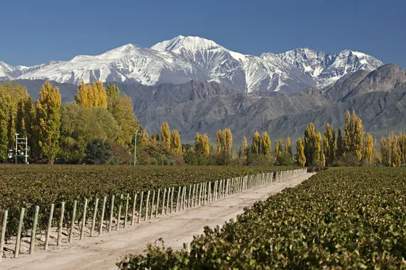Vinícolas do Chile