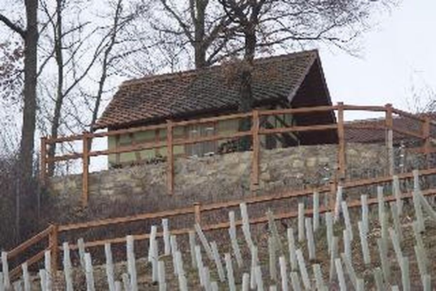 foto-1