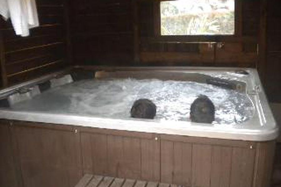 photo-2