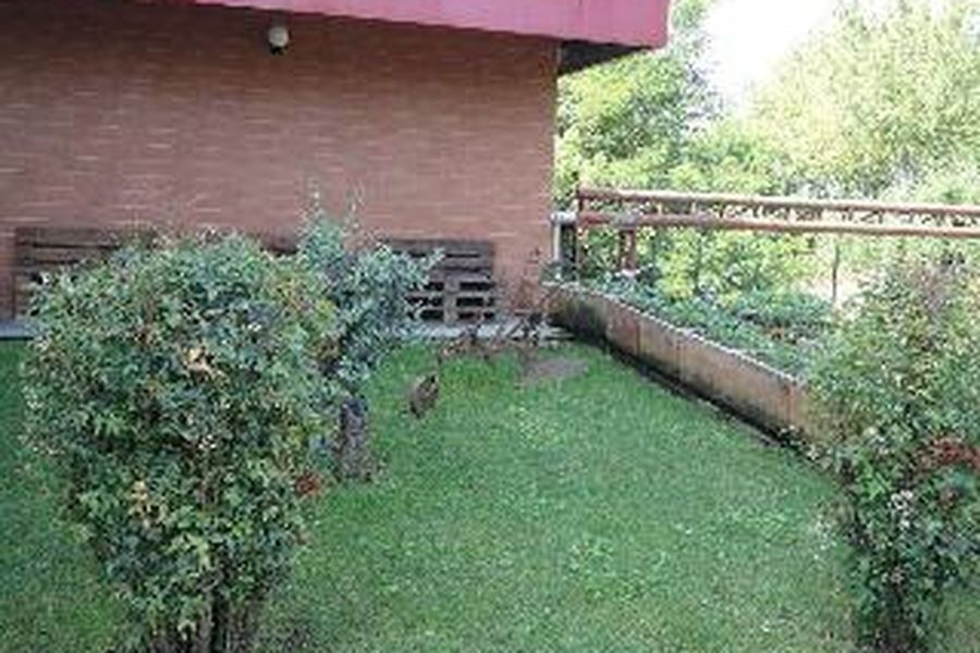 foto-2