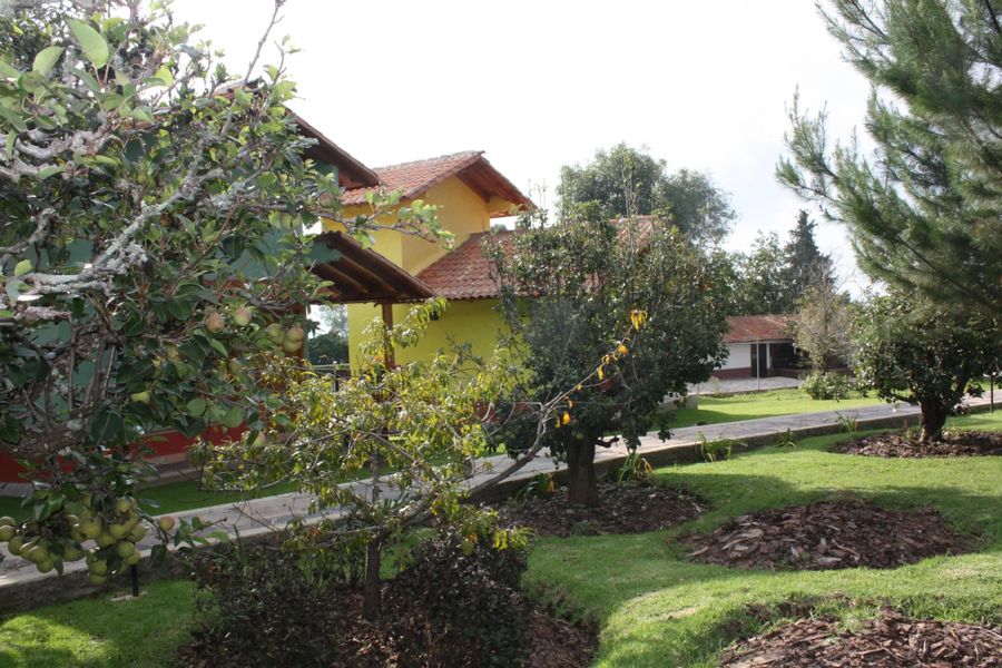 foto-3