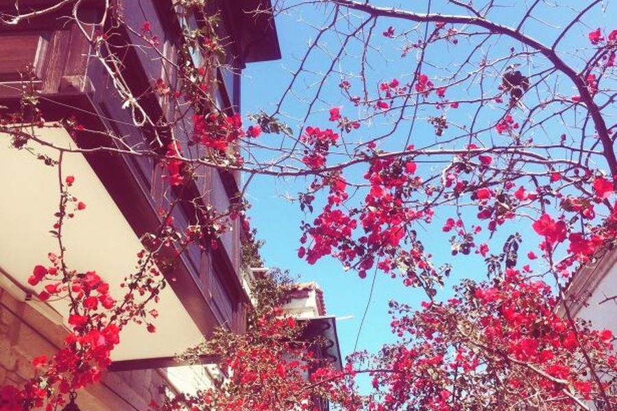 foto-3