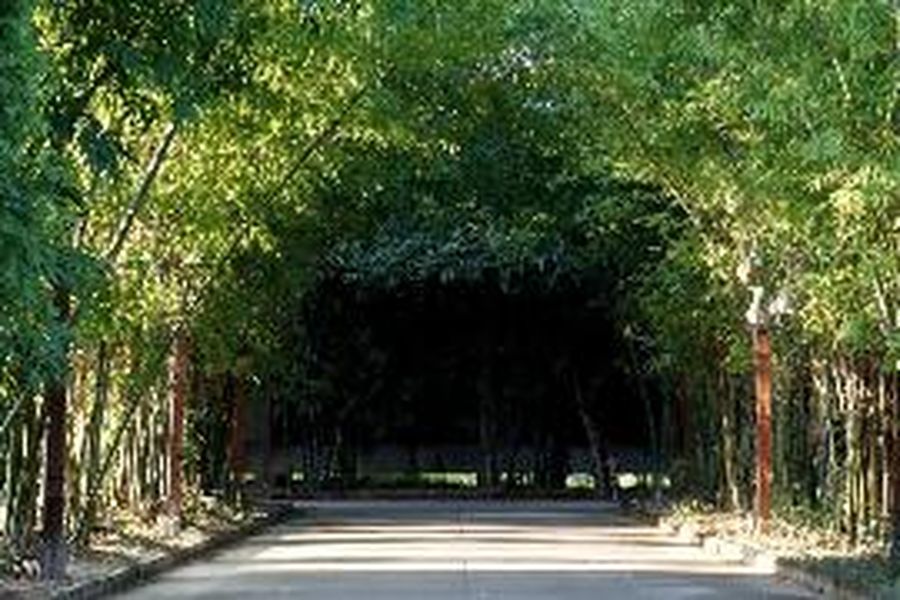 foto-0