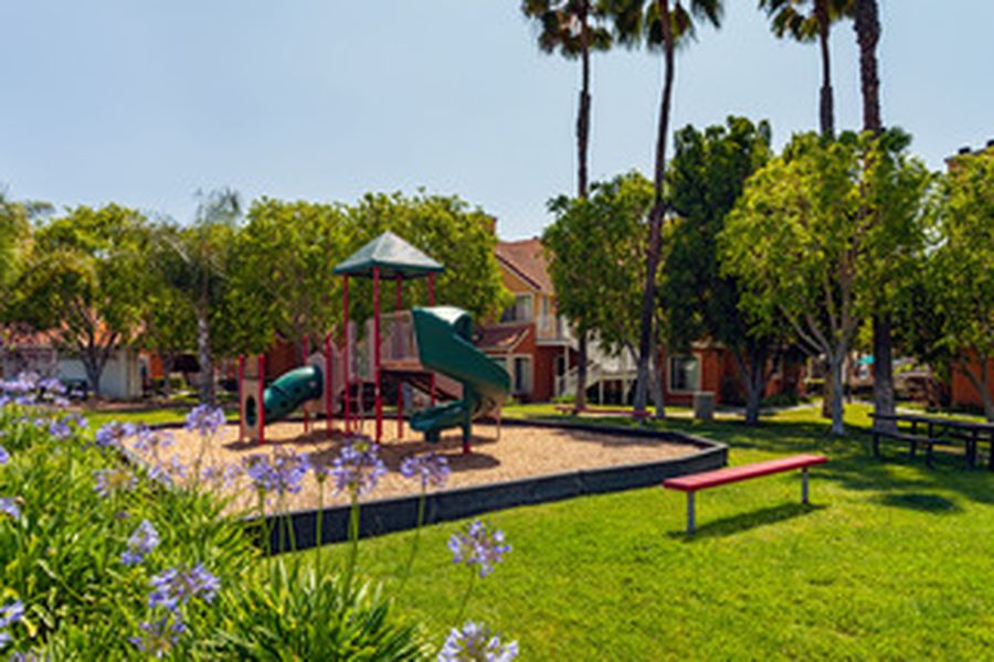 foto-1