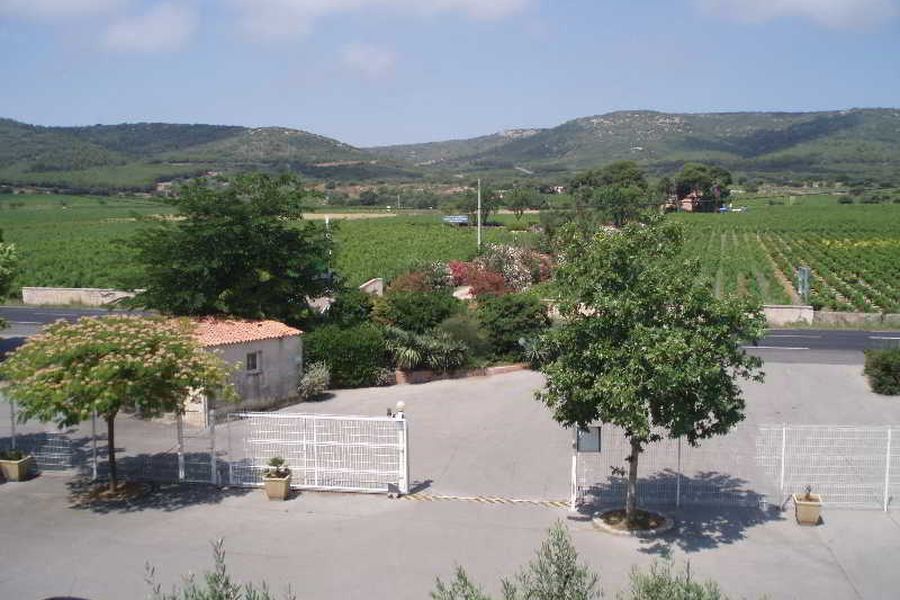foto-1