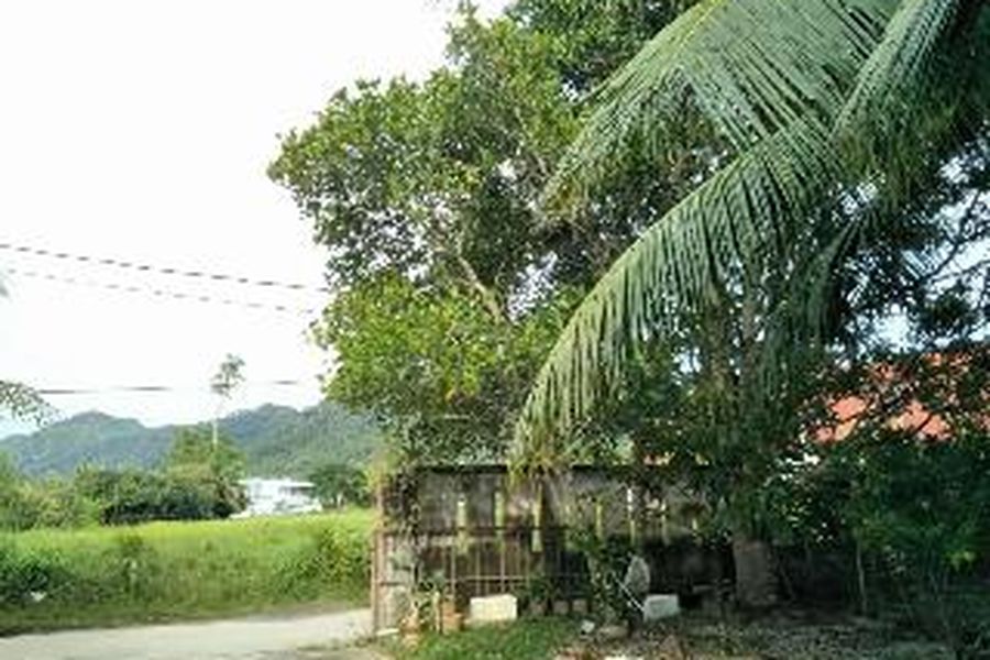 foto-3