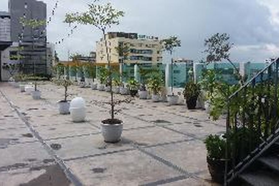 foto-1