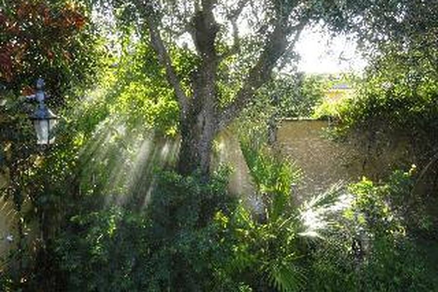 photo-1