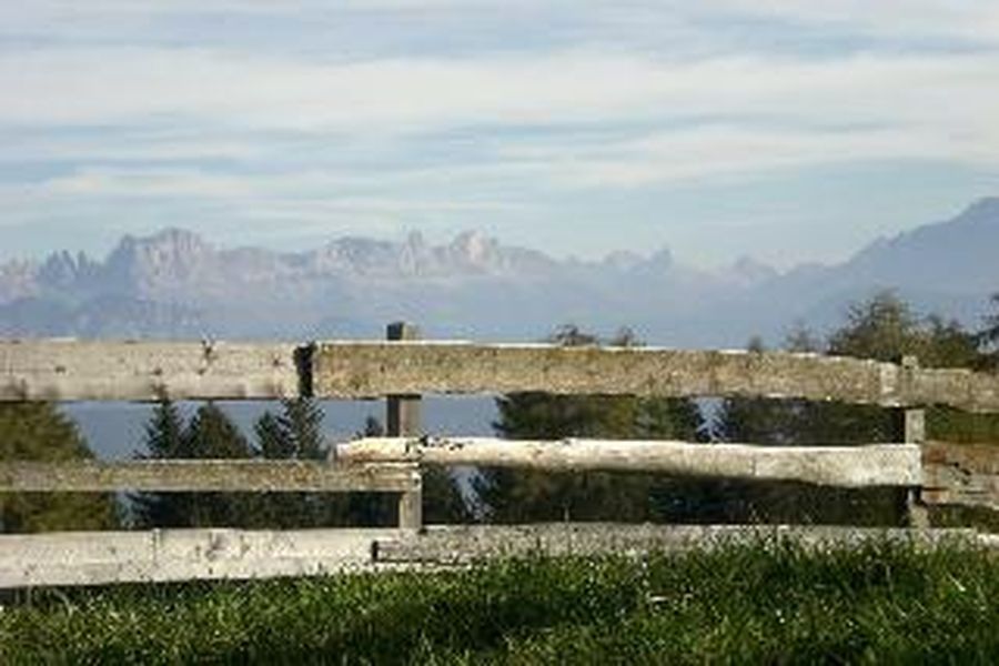 photo-2