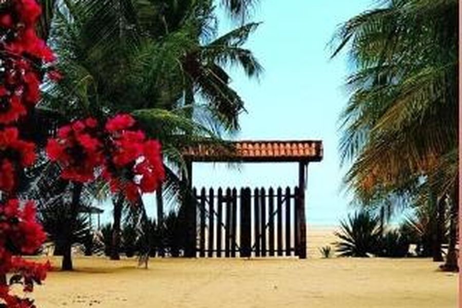 photo-1