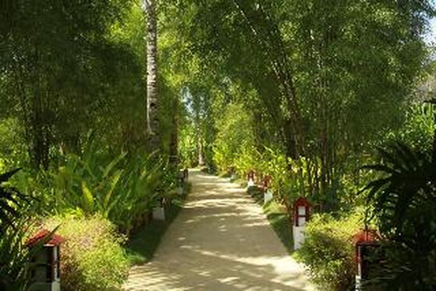 foto-2