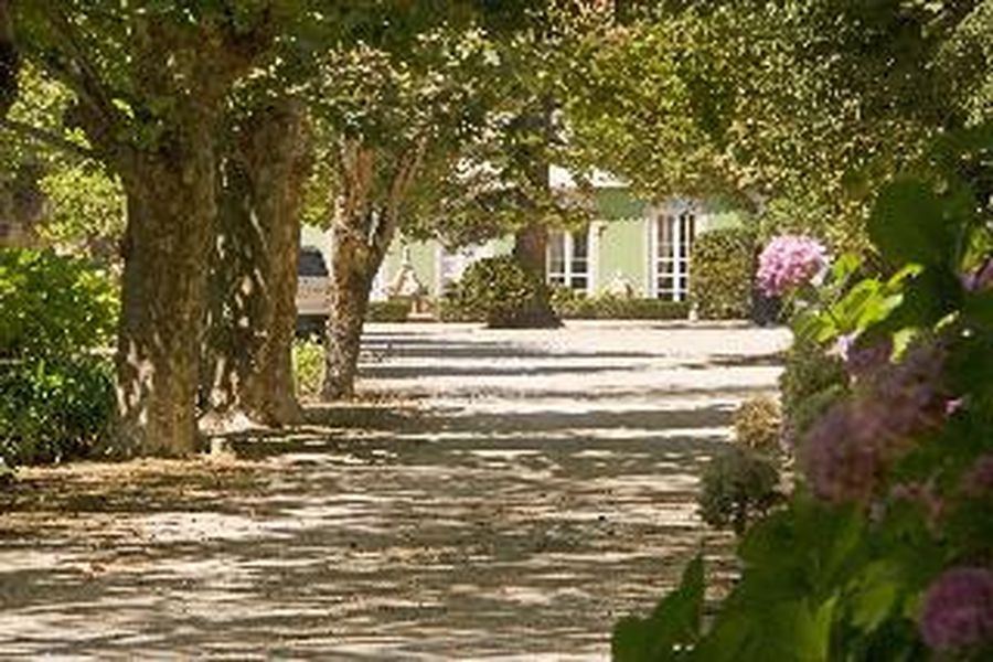 foto-2