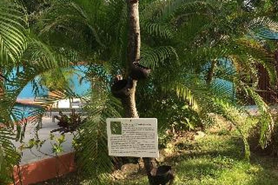 foto-2