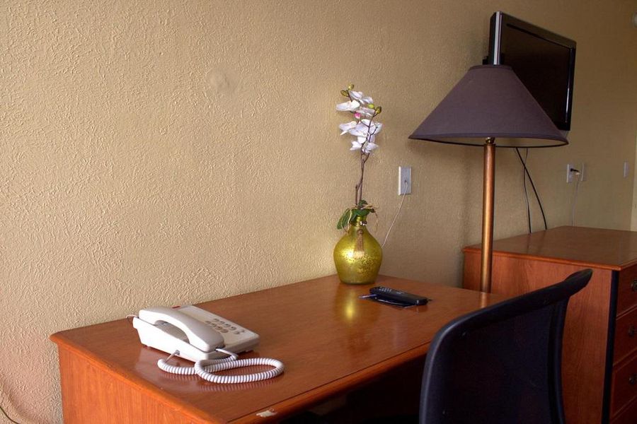 photo-2