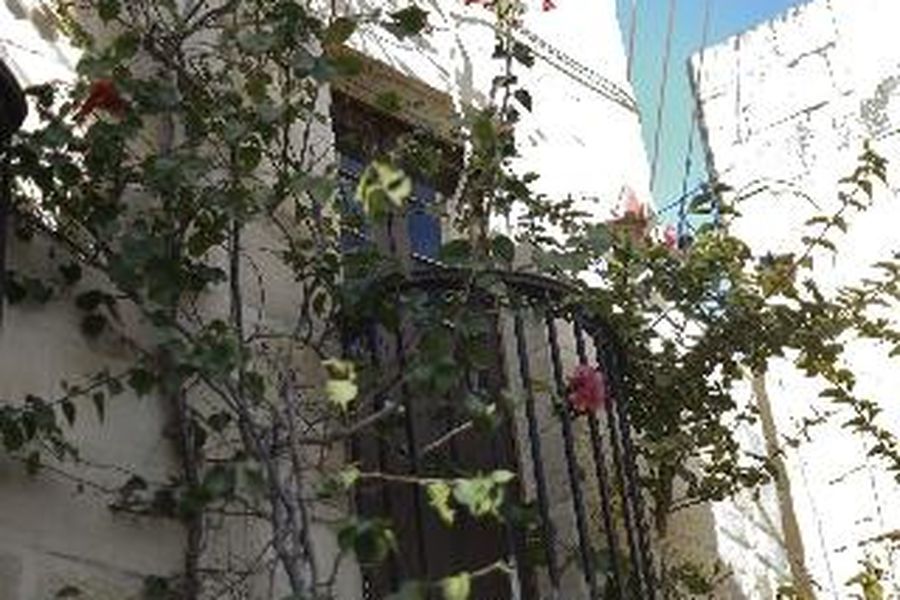 foto-2