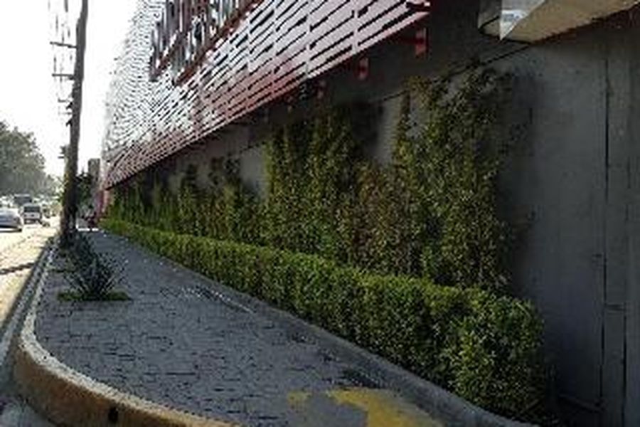 foto-2