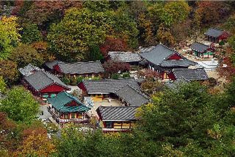 foto-1