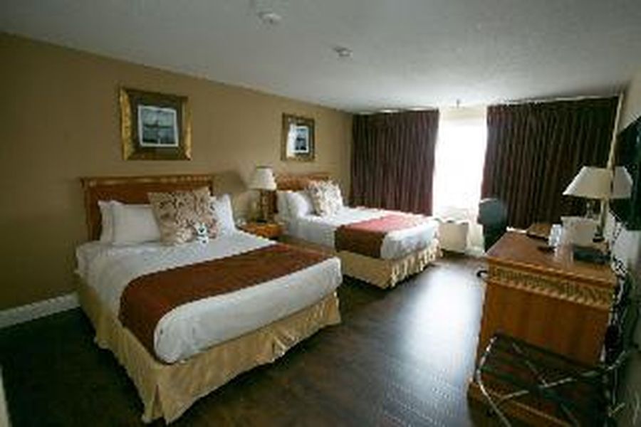 photo-3